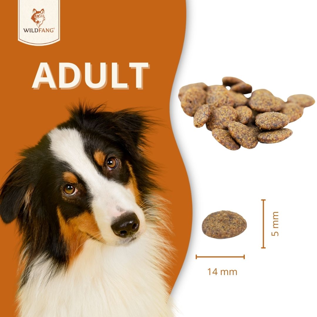 Adult Trockenfutter mit Thunfisch - getreidefrei-Hundefutter-Wildfang-