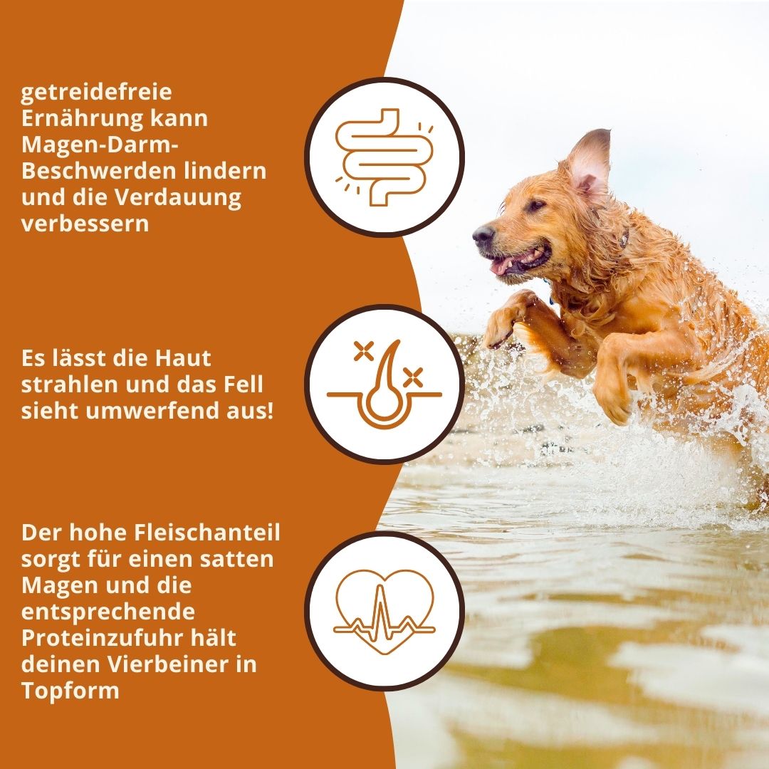 Adult Trockenfutter mit Thunfisch - getreidefrei-Hundefutter-Wildfang-