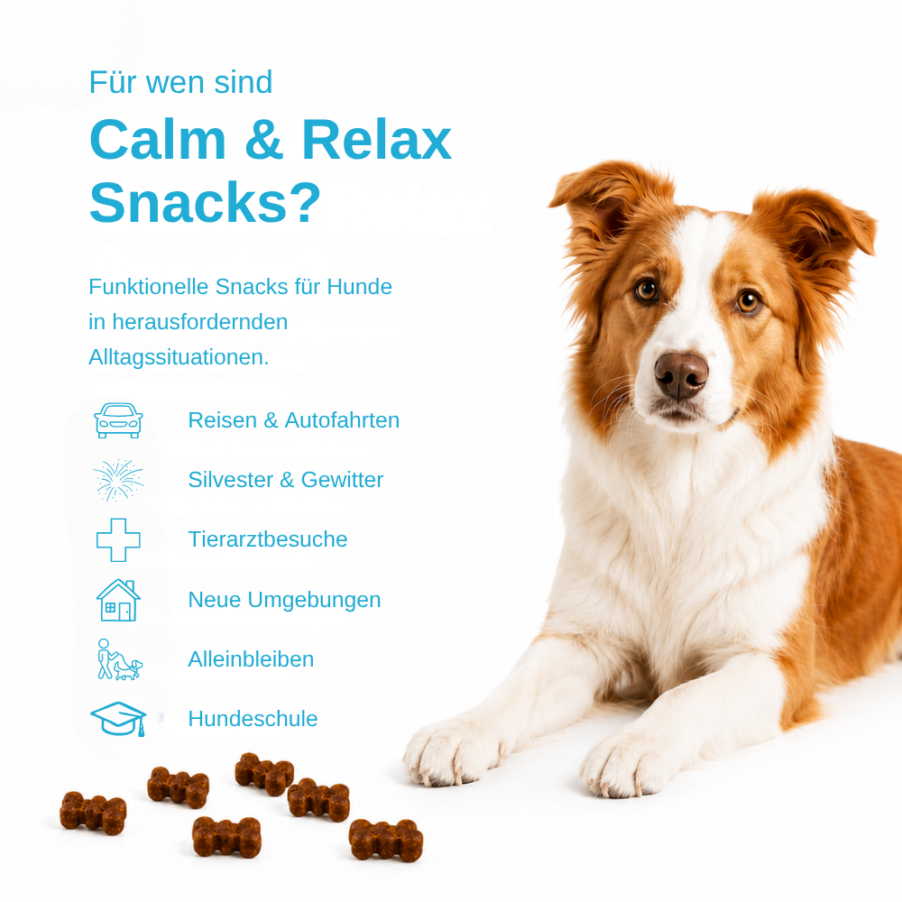 Calm & Relax - Funktionelle Snacks zur Beruhigung-Hundefutter-Wildfang-