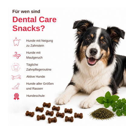 Dental Care – Funktionelle Zahnpflege Snacks für Hunde-Hundefutter-Wildfang-