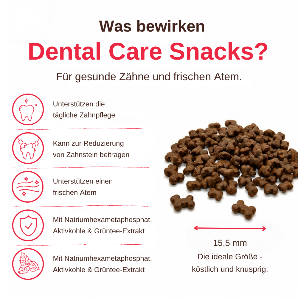 Dental Care – Funktionelle Zahnpflege Snacks für Hunde-Hundefutter-Wildfang-