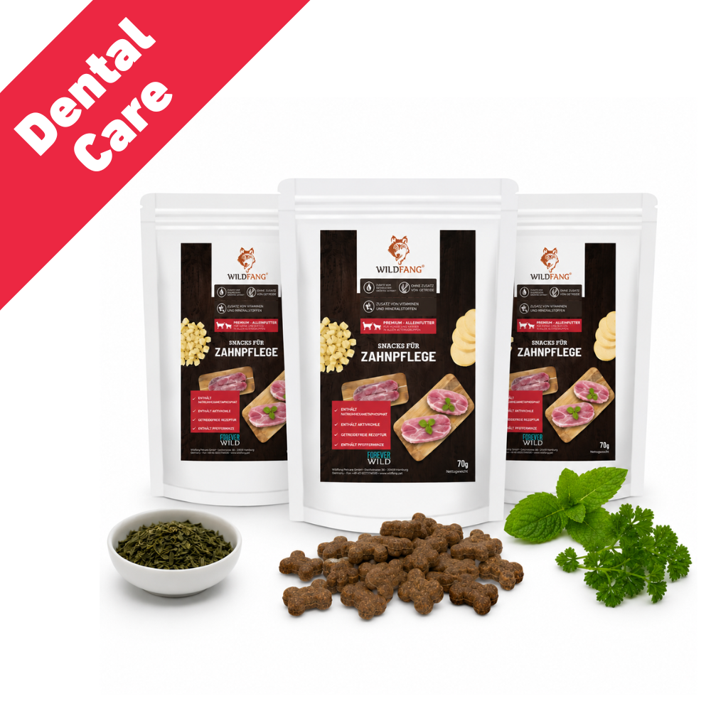 Dental Care – Funktionelle Zahnpflege Snacks für Hunde - 3er Set-Hundefutter-Wildfang-