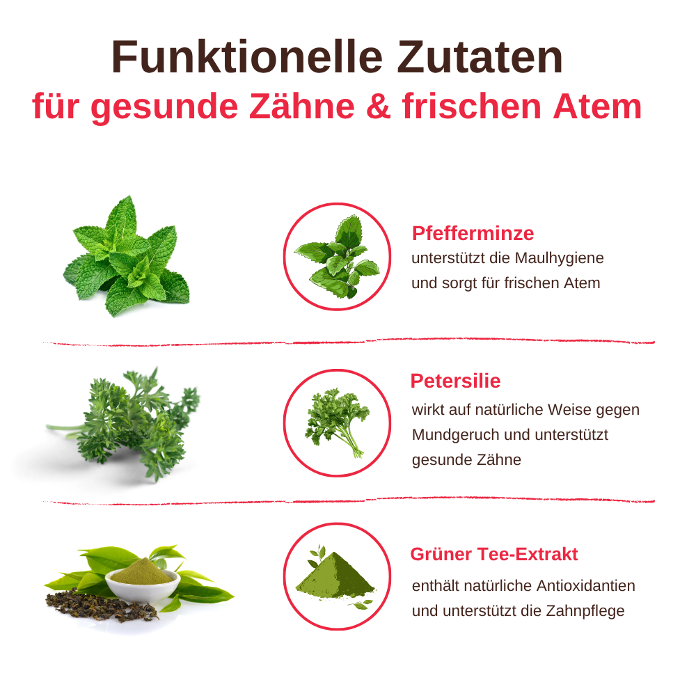 Dental Care – Funktionelle Zahnpflege Snacks für Hunde-Hundefutter-Wildfang-