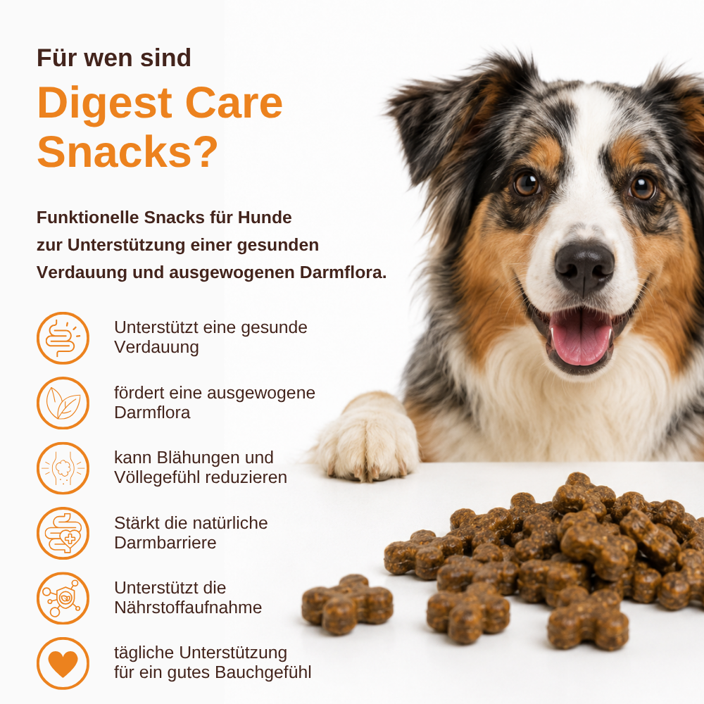 Digest Care – Funktionelle Snacks für eine gesunde Verdauung-Hundefutter-Wildfang-