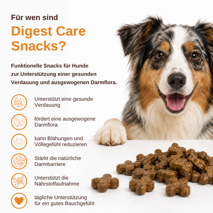 Digest Care – Funktionelle Snacks für eine gesunde Verdauung-Hundefutter-Wildfang-