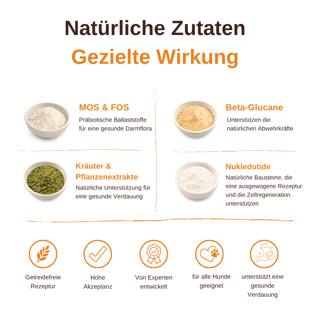 Digest Care – Funktionelle Snacks für eine gesunde Verdauung-Hundefutter-Wildfang-
