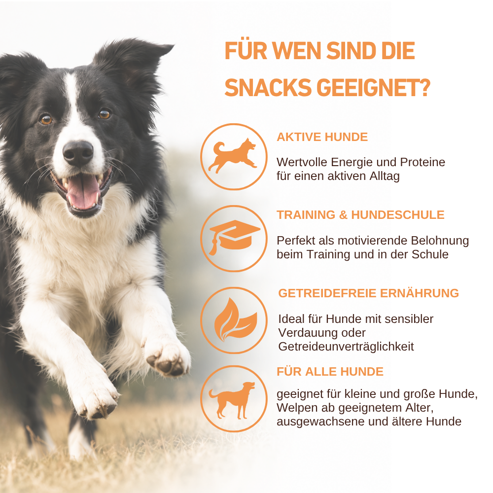Farm Protein Snacks - Premium Hundesnacks mit 80 % Geflügel-Hundefutter-Wildfang-