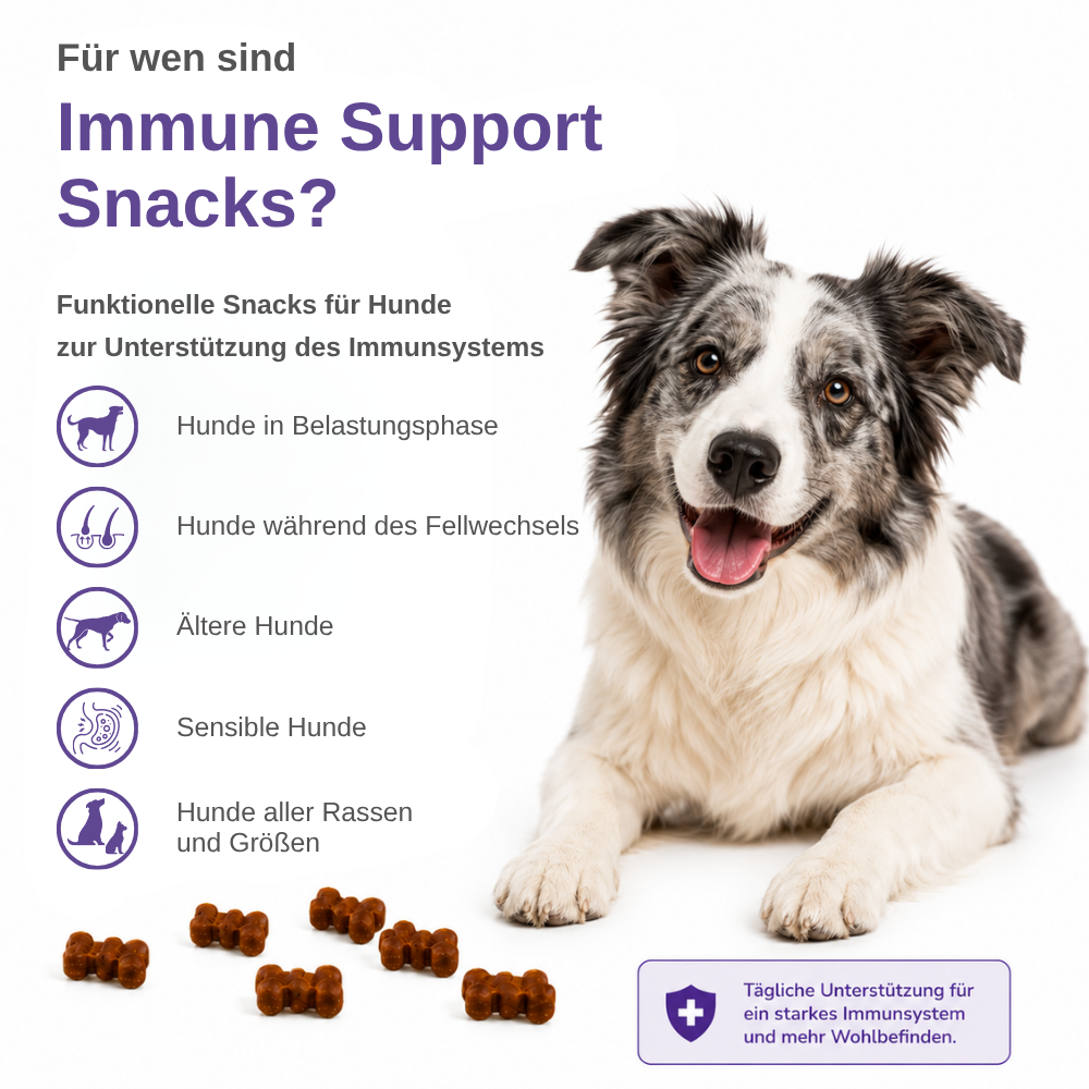 Immune Support Hundesnacks – Funktionale Snacks fürs Immunsystem - 3er Pack-Hundefutter-Wildfang-