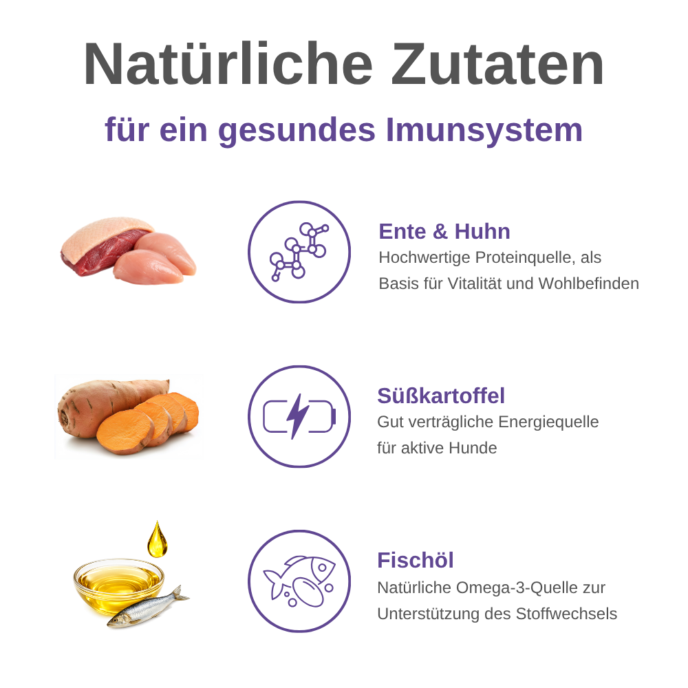 Immune Support Hundesnacks – Funktionale Snacks fürs Immunsystem - 3er Pack-Hundefutter-Wildfang-