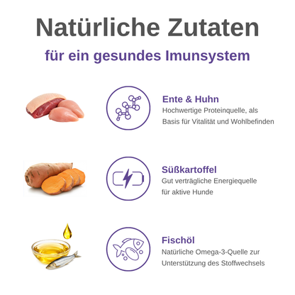 Immune Support Hundesnacks – Funktionale Snacks fürs Immunsystem - 3er Pack-Hundefutter-Wildfang-