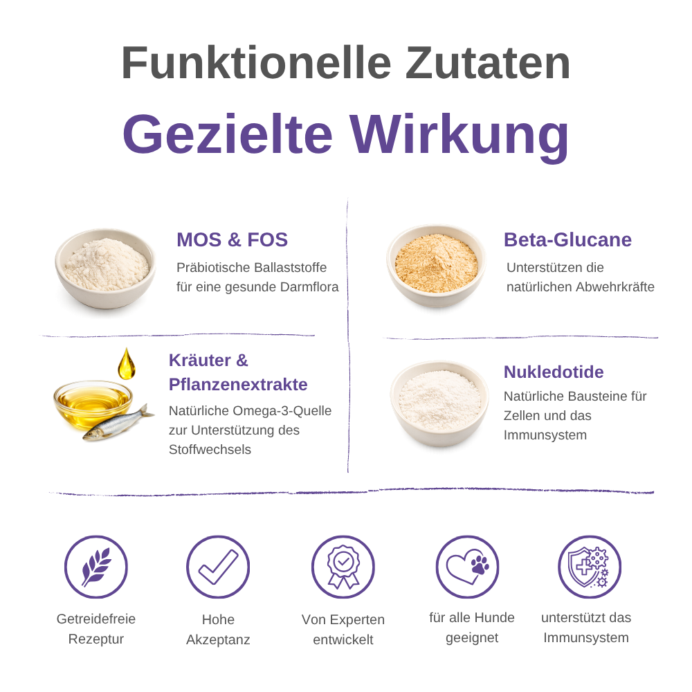 Immune Support Hundesnacks – Funktionale Snacks fürs Immunsystem - 3er Pack-Hundefutter-Wildfang-