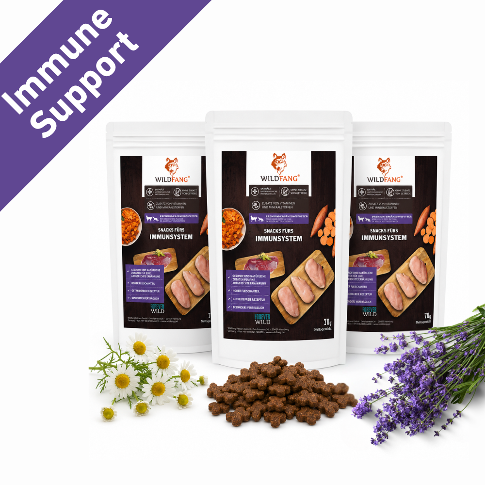 Immune Support Hundesnacks – Funktionale Snacks fürs Immunsystem - 3er Pack-Hundefutter-Wildfang-