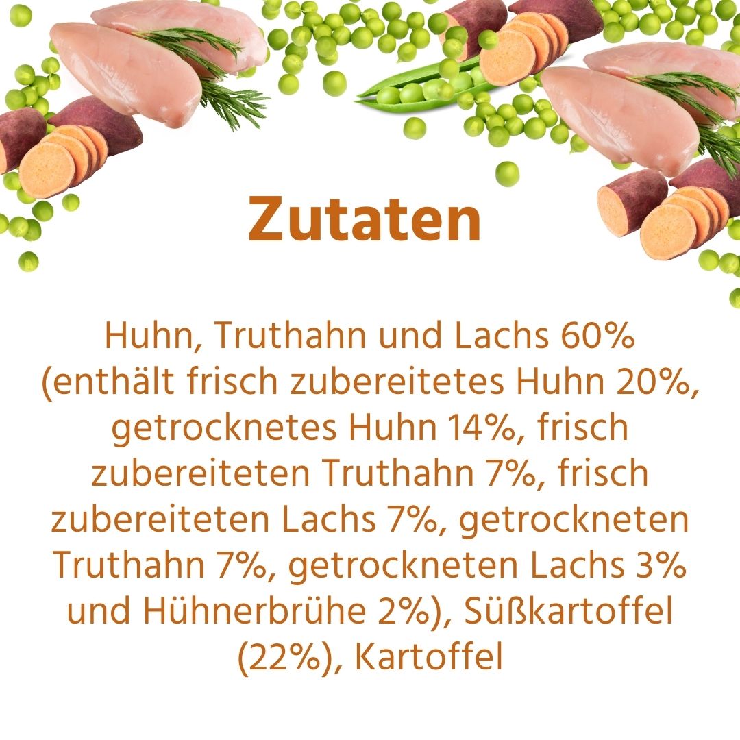 Junior Trockenfutter Sparpack 2 x 2 kg mit Huhn - getreidefrei - für Welpen-Hundefutter-Wildfang-