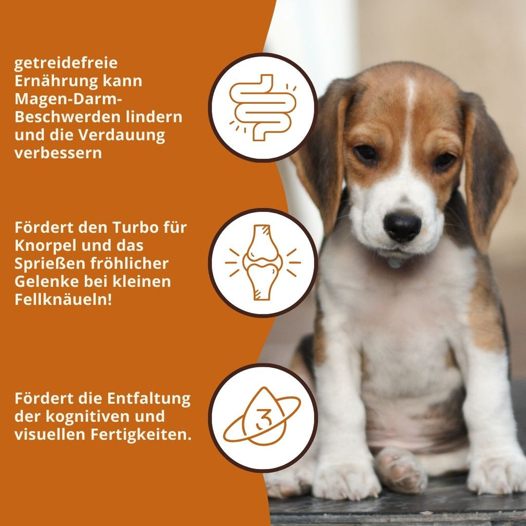 Junior Trockenfutter Sparpack 2 x 2 kg mit Huhn - getreidefrei - für Welpen-Hundefutter-Wildfang-