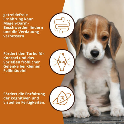Junior Trockenfutter Sparpack 2 x 2 kg mit Huhn - getreidefrei - für Welpen-Hundefutter-Wildfang-