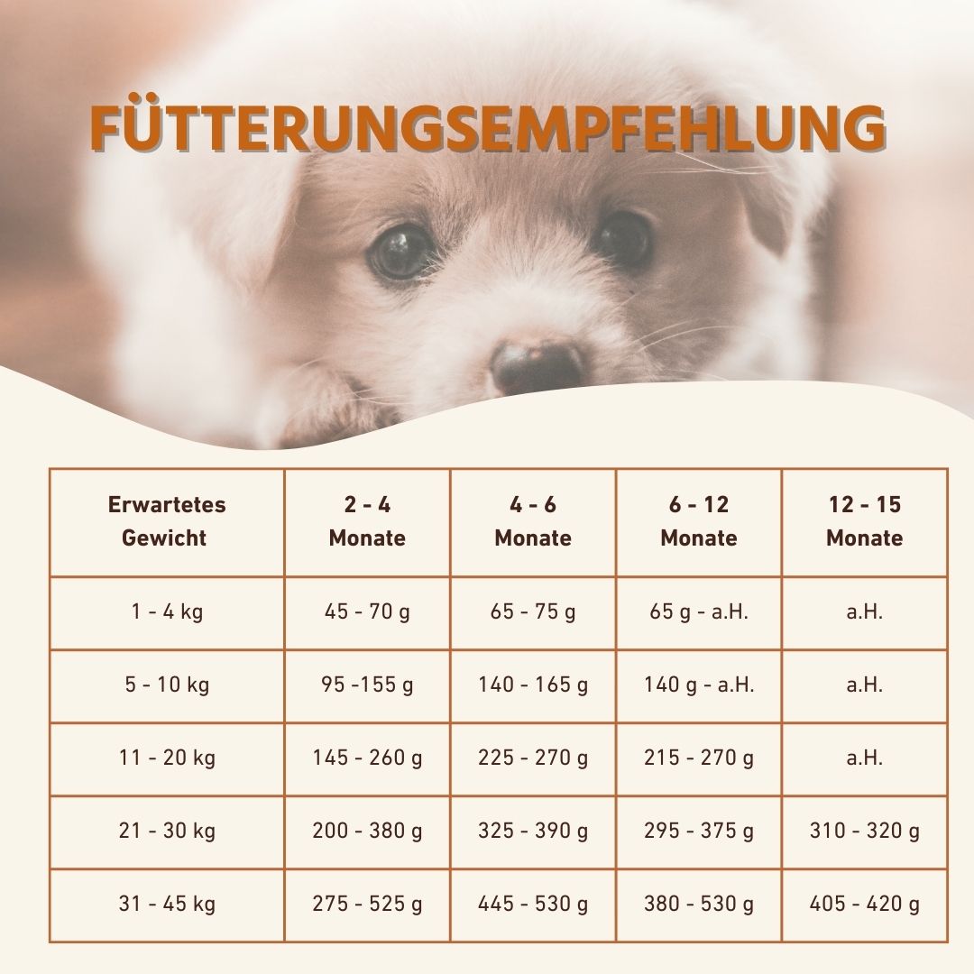 Junior Trockenfutter Sparpack 2 x 2 kg mit Huhn - getreidefrei - für Welpen-Hundefutter-Wildfang-