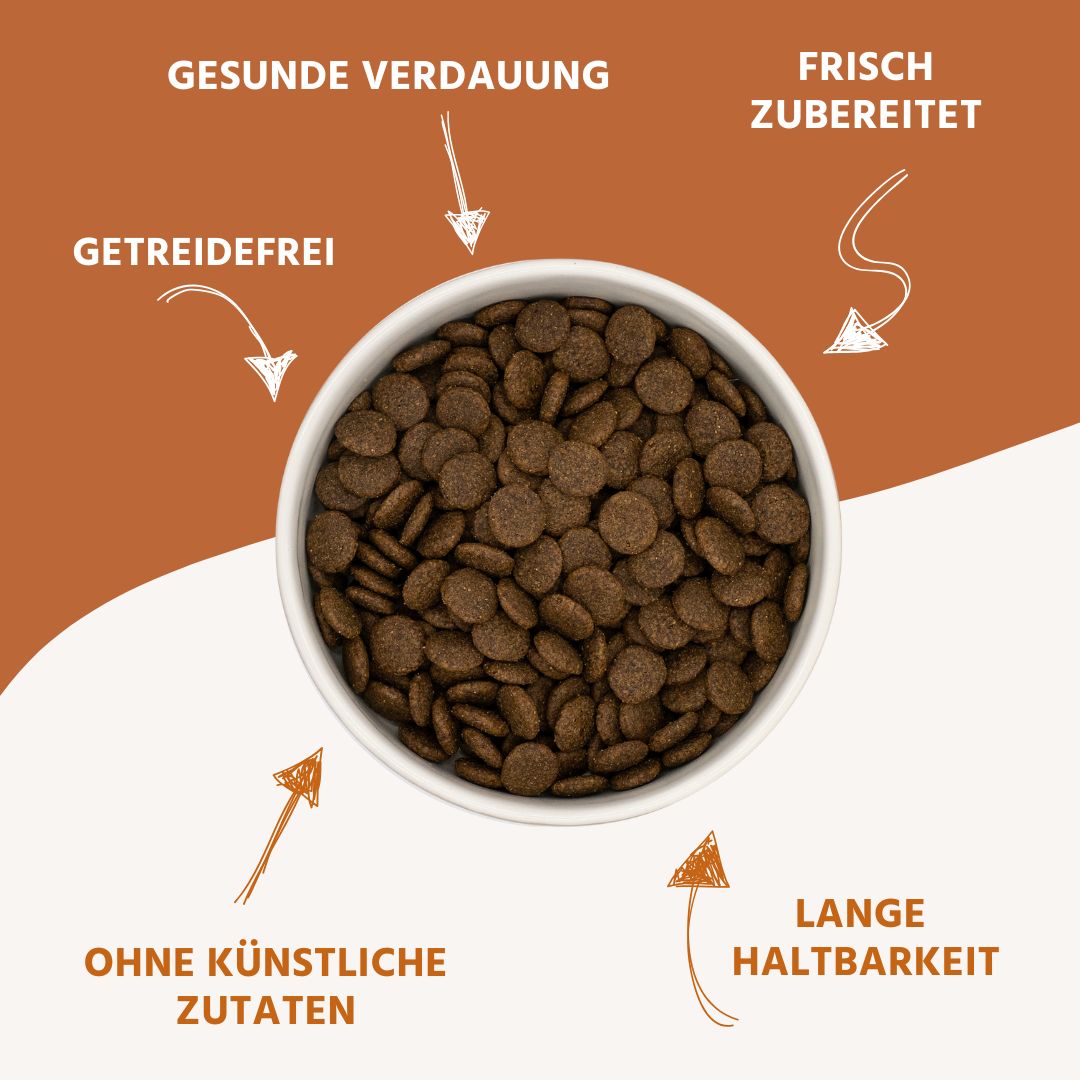 Junior Trockenfutter Sparpack 2 x 2 kg mit Lachs - getreidefrei - für Welpen-Hundefutter-Wildfang-