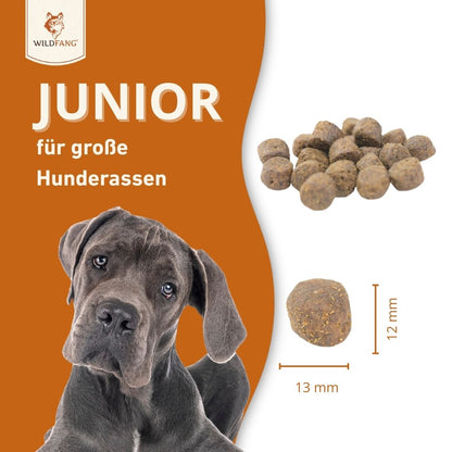 Junior Trockenfutter Sparpack 2 x 2 kg mit Lachs - getreidefrei - für Welpen-Hundefutter-Wildfang-
