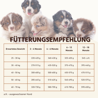 Junior Trockenfutter Sparpack 2 x 2 kg mit Lachs - getreidefrei - für Welpen-Hundefutter-Wildfang-