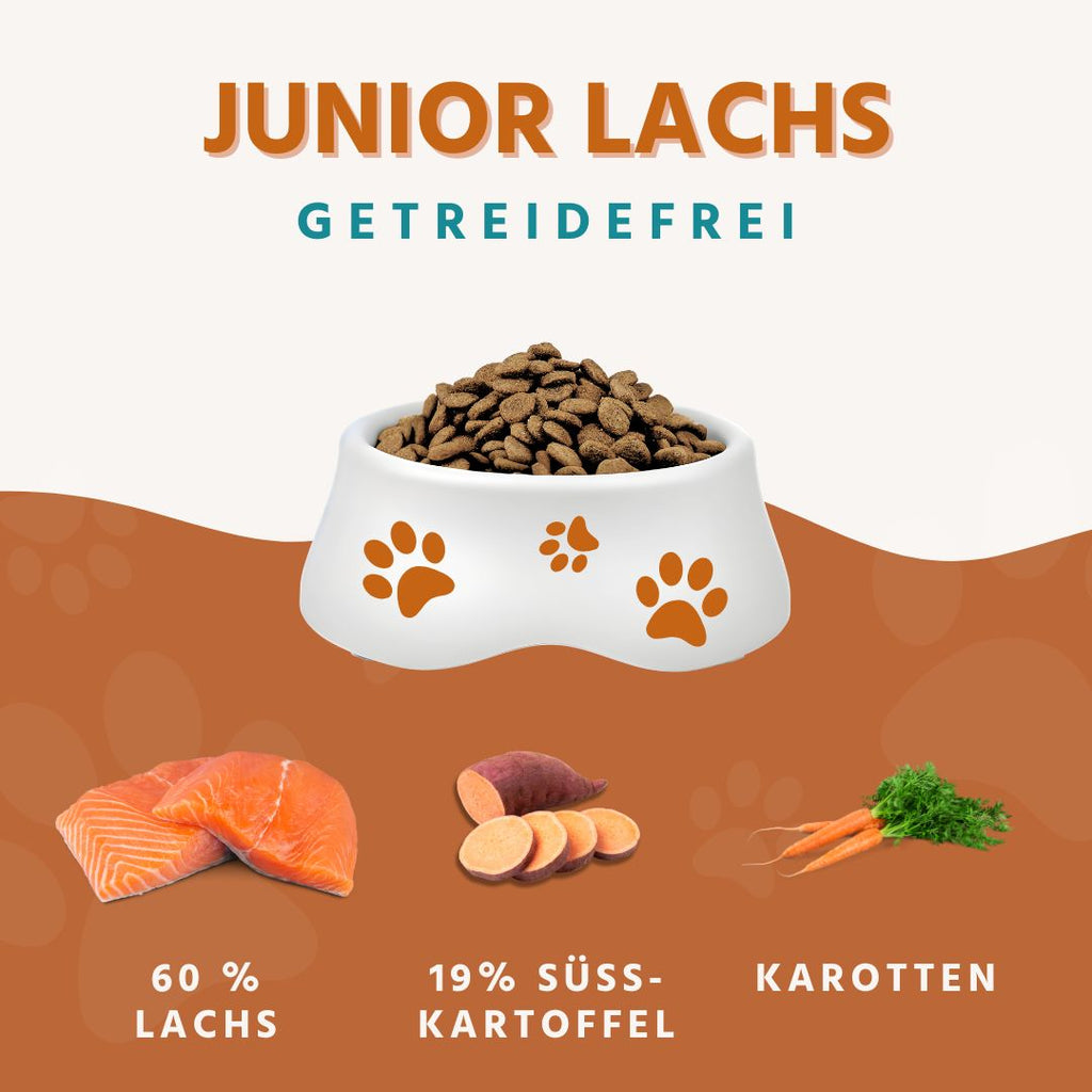 Junior Trockenfutter mit Lachs für Welpen - getreidefrei-Hundefutter-Wildfang-