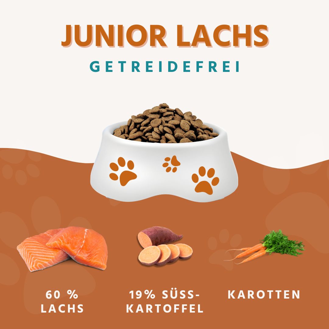 Junior Trockenfutter mit Lachs für Welpen - getreidefrei-Hundefutter-Wildfang-