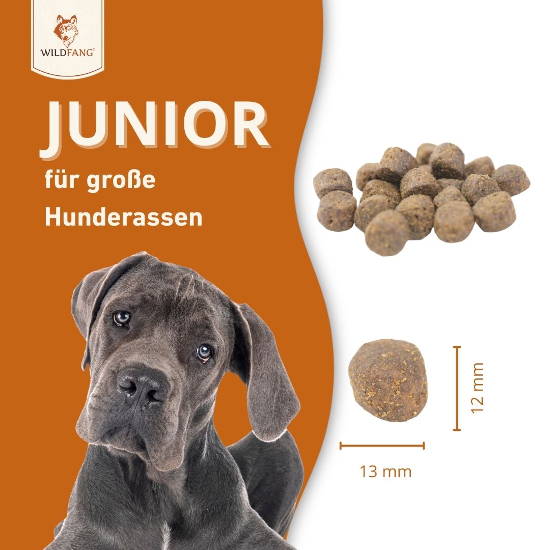 Junior Trockenfutter mit Lachs für Welpen - getreidefrei-Hundefutter-Wildfang-