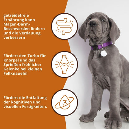 Junior Trockenfutter mit Lachs für Welpen - getreidefrei-Hundefutter-Wildfang-