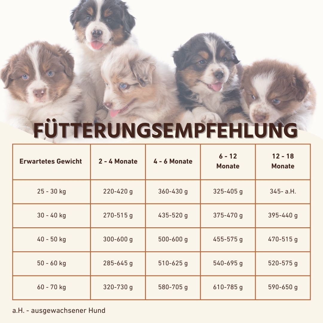 Junior Trockenfutter mit Lachs für Welpen - getreidefrei-Hundefutter-Wildfang-