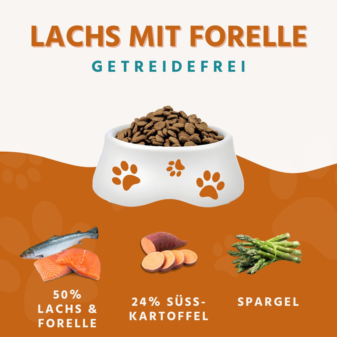 Maxi Adult Trockenfutter mit Lachs und Forelle - ideal für große Hunderassen - getreidefrei-Hundefutter-Wildfang-