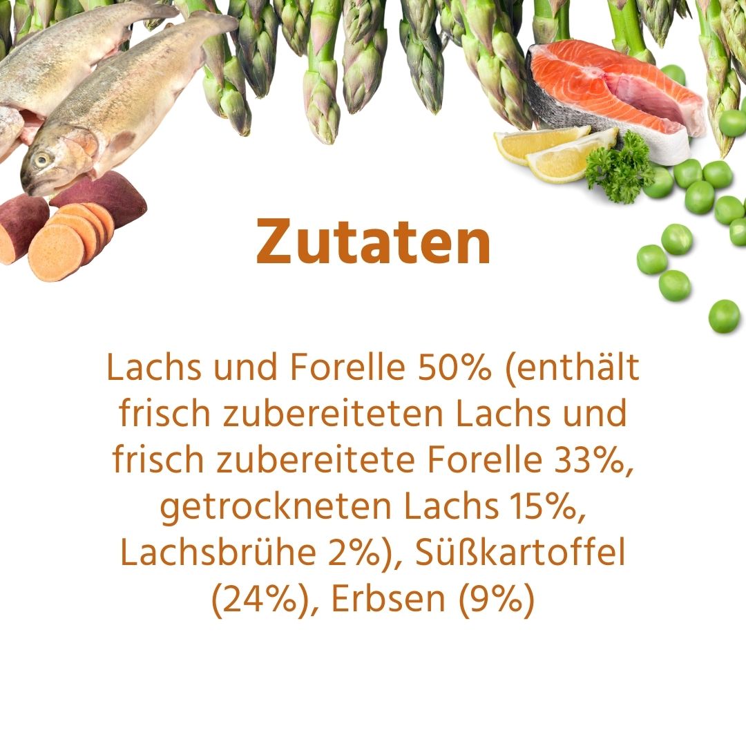 Maxi Adult Trockenfutter mit Lachs und Forelle - ideal für große Hunderassen - getreidefrei-Hundefutter-Wildfang-