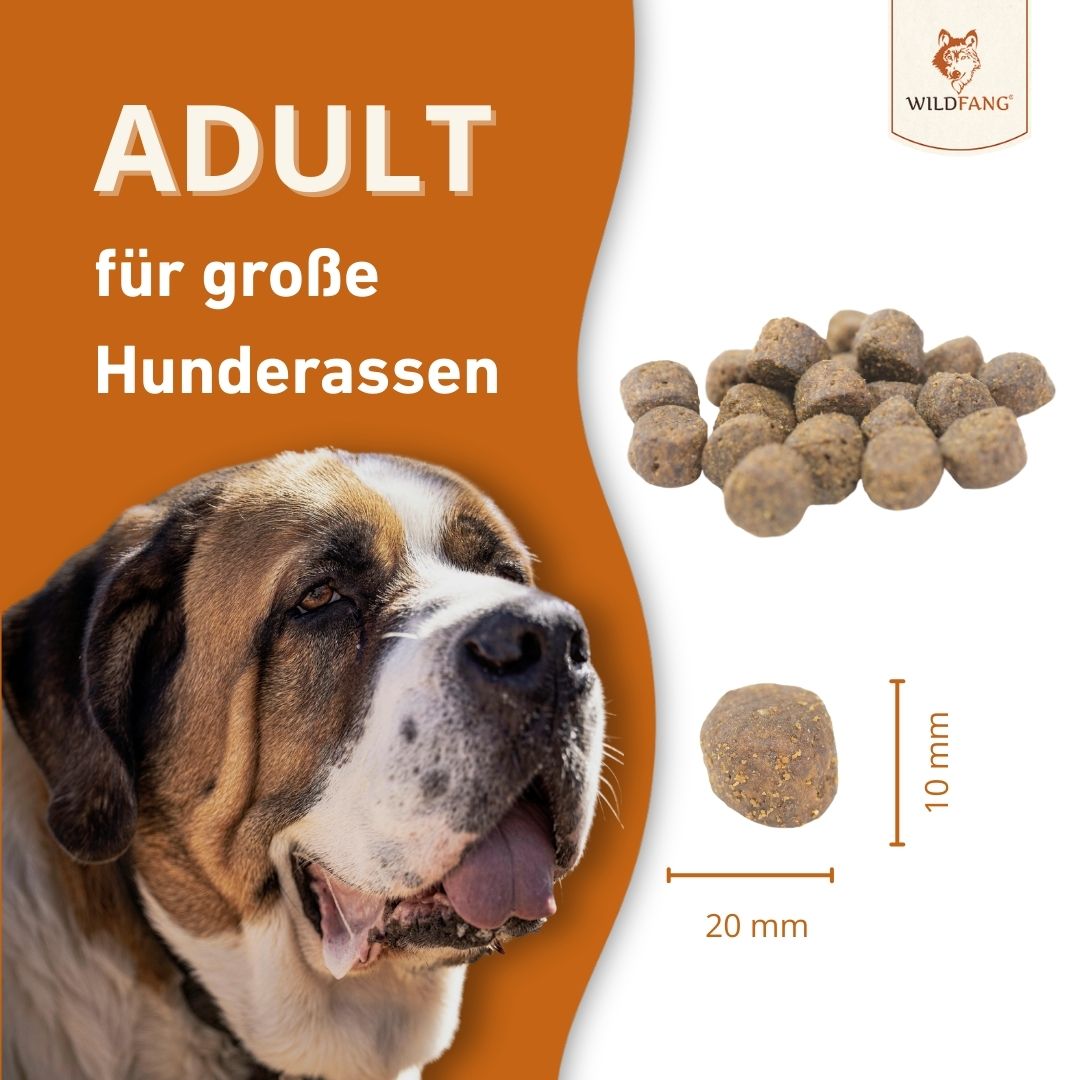 Maxi Adult Trockenfutter mit Lachs und Forelle - ideal für große Hunderassen - getreidefrei-Hundefutter-Wildfang-