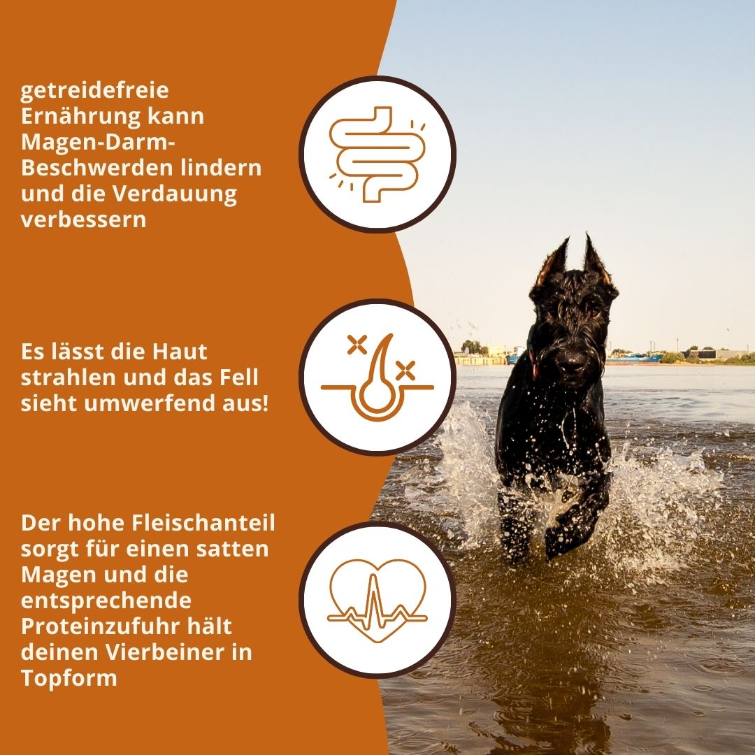 Maxi Adult Trockenfutter mit Lachs und Forelle - ideal für große Hunderassen - getreidefrei-Hundefutter-Wildfang-