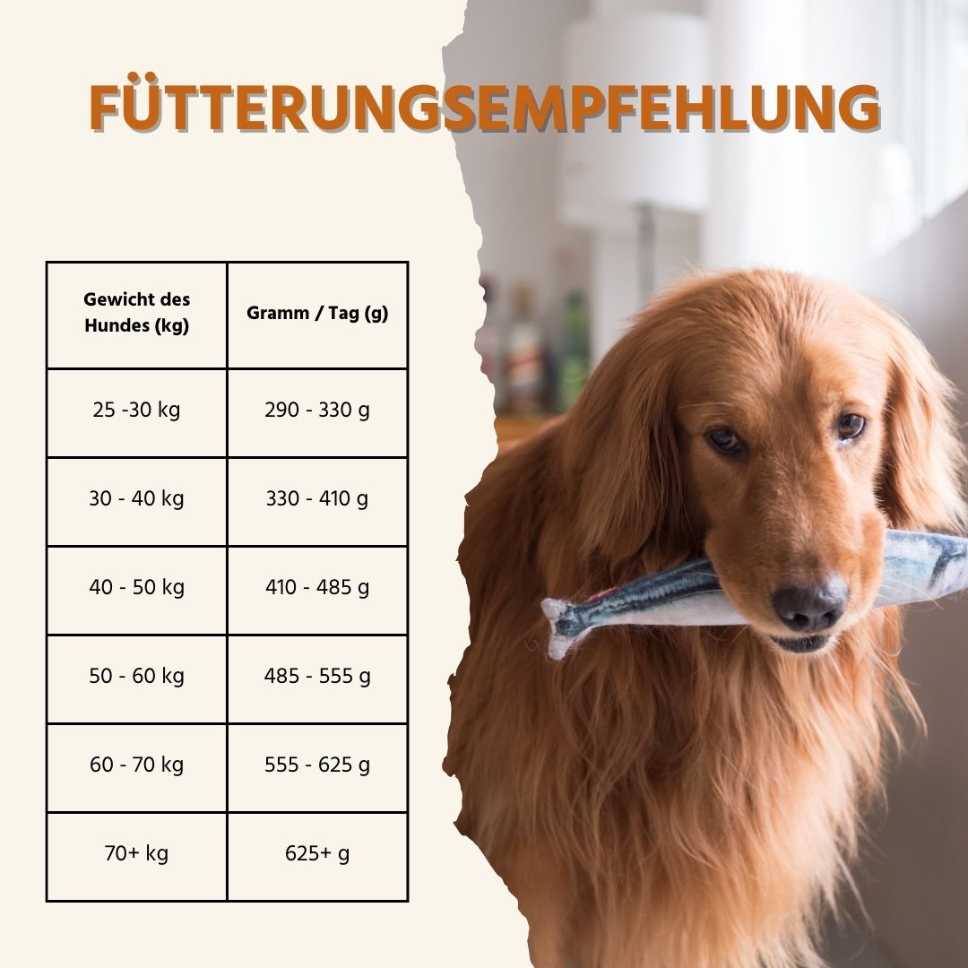 Maxi Adult Trockenfutter mit Lachs und Forelle - ideal für große Hunderassen - getreidefrei-Hundefutter-Wildfang-