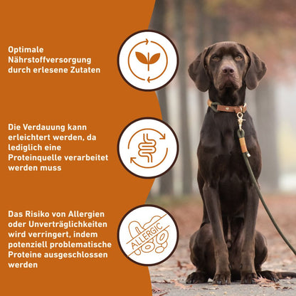 Nassfutter Huhn pur - BARF Qualität - 6er Set-Hundefutter-Wildfang-