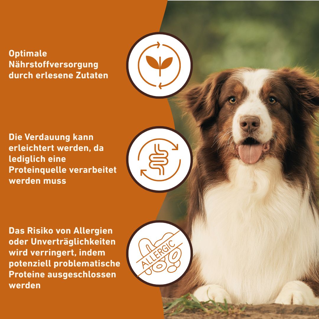 Nassfutter Pferd pur - BARF Qualität-Hundefutter-Wildfang-