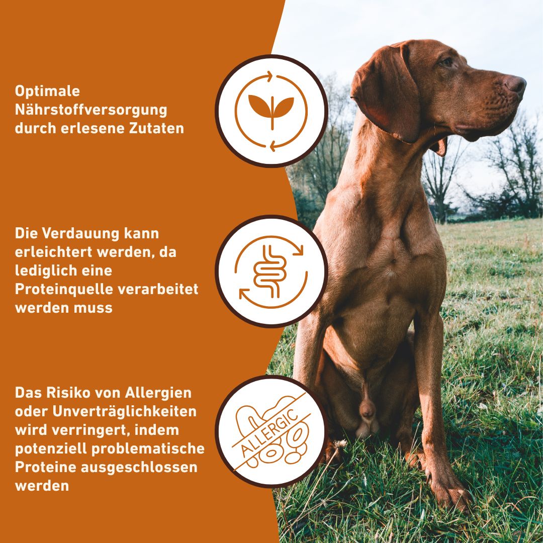 Nassfutter Rind pur - BARF Qualität-Hundefutter-Wildfang-