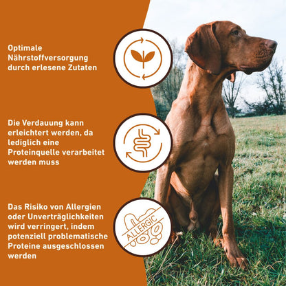 Nassfutter Rind pur - BARF Qualität - 6er Set-Hundefutter-Wildfang-