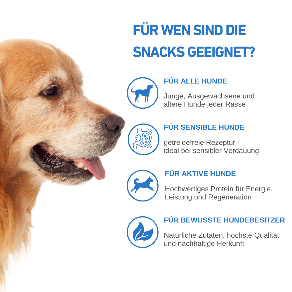 Ocean Protein – Premium Hundesnacks mit 80 % Fisch - 3er Set-Hundefutter-Wildfang-