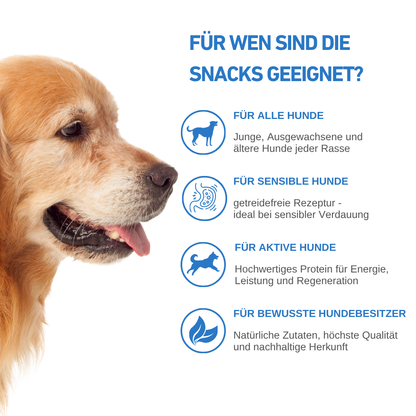 Ocean Protein – Premium Hundesnacks mit 80 % Fisch - 3er Set-Hundefutter-Wildfang-