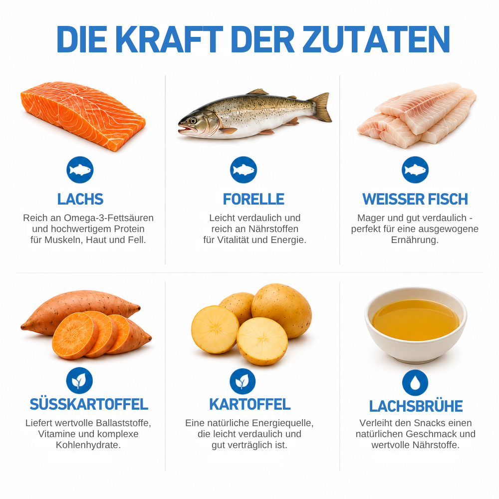 Ocean Protein – Premium Hundesnacks mit 80 % Fisch - 3er Set-Hundefutter-Wildfang-