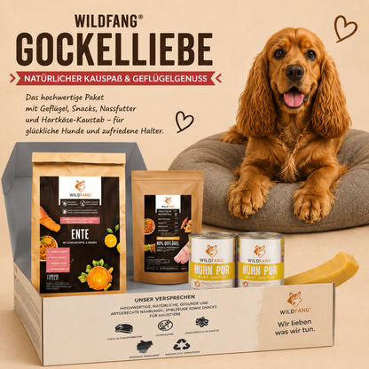Paket "Gockelliebe"-Hundefutter-Wildfang-