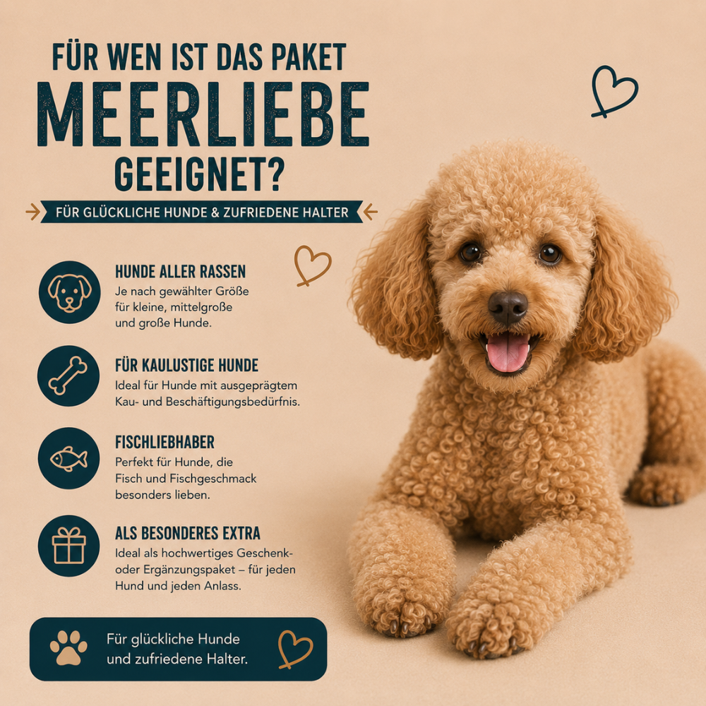 Paket "Meerliebe"-Hundefutter-Wildfang-
