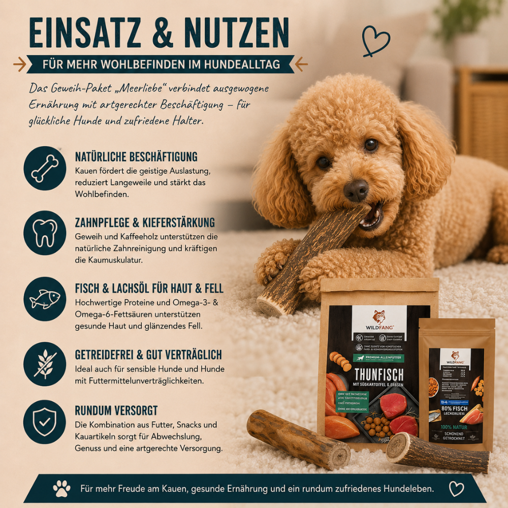 Paket "Meerliebe"-Hundefutter-Wildfang-