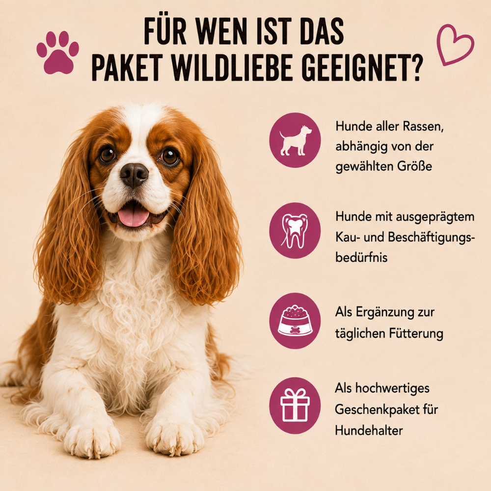 Paket "Wildliebe"-Hundefutter-Wildfang-