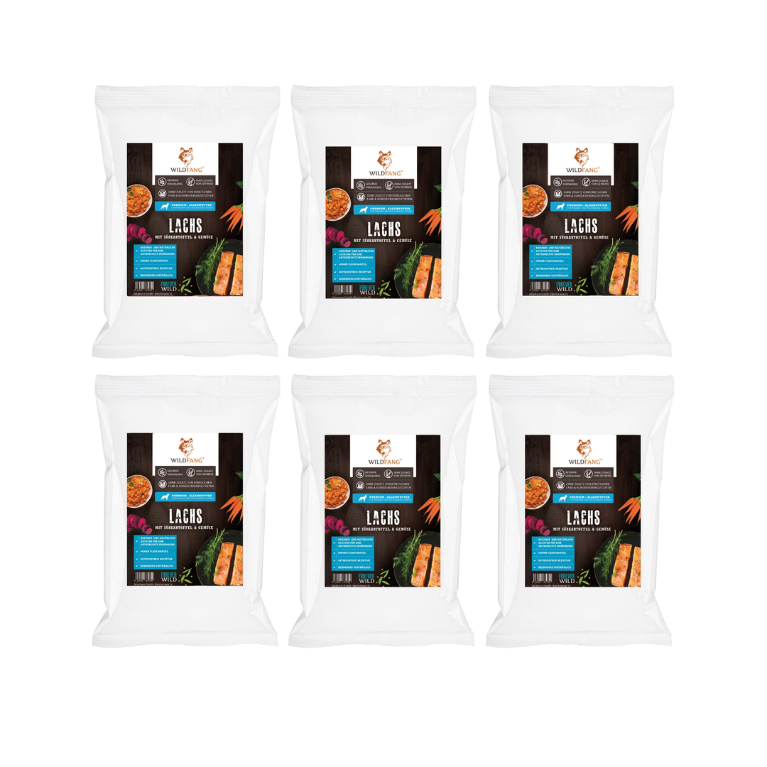 Genussbox Junior - Trockenfutter-Hundefutter-Wildfang-6 x Lachs-
