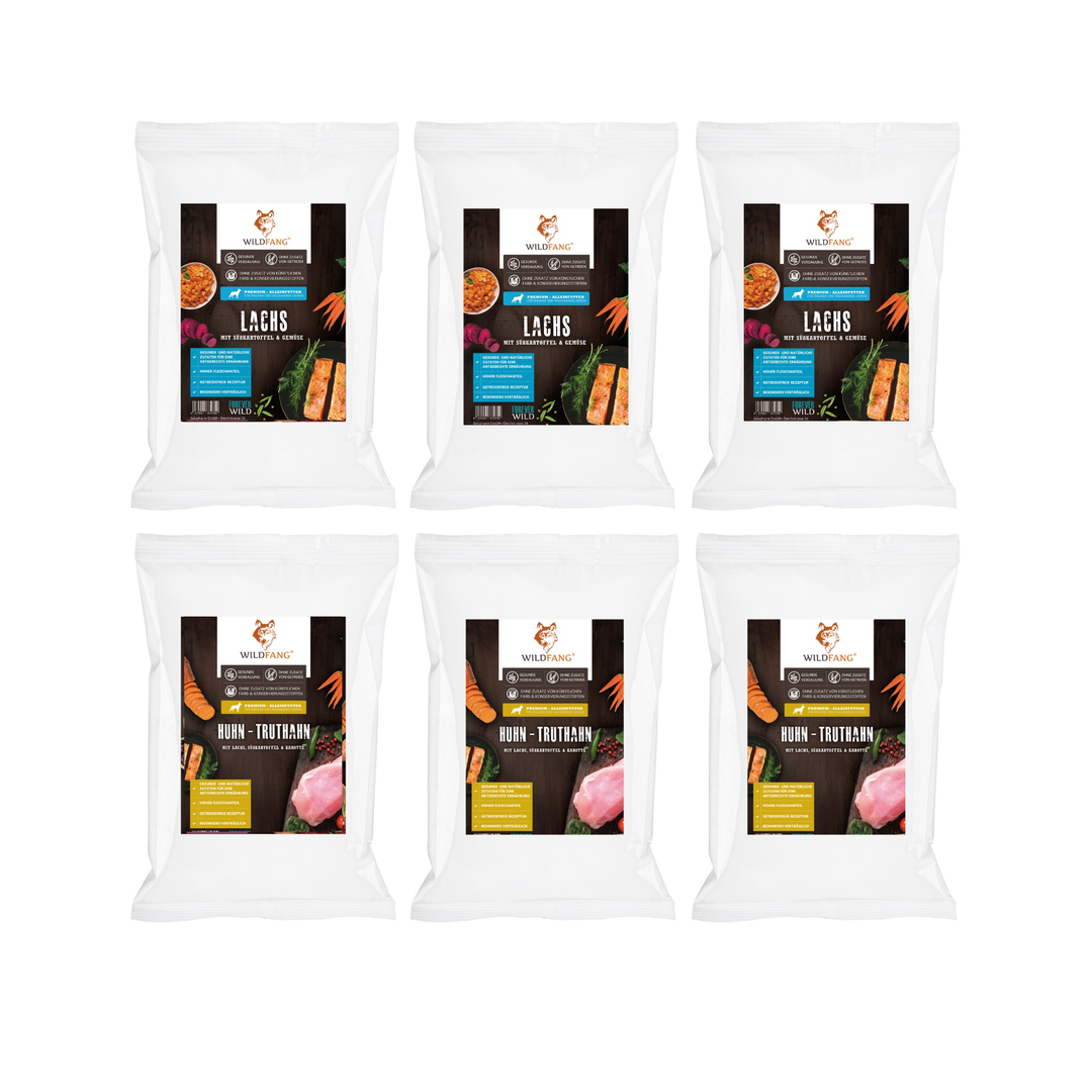 Genussbox Junior - Trockenfutter-Hundefutter-Wildfang-6 x Mix-