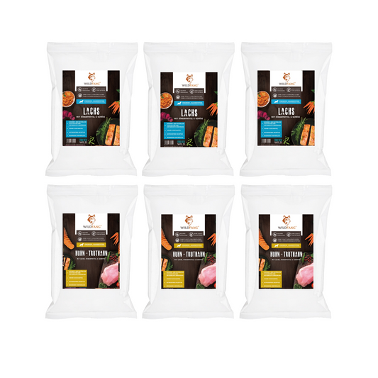 Genussbox Junior - Trockenfutter-Hundefutter-Wildfang-6 x Mix-