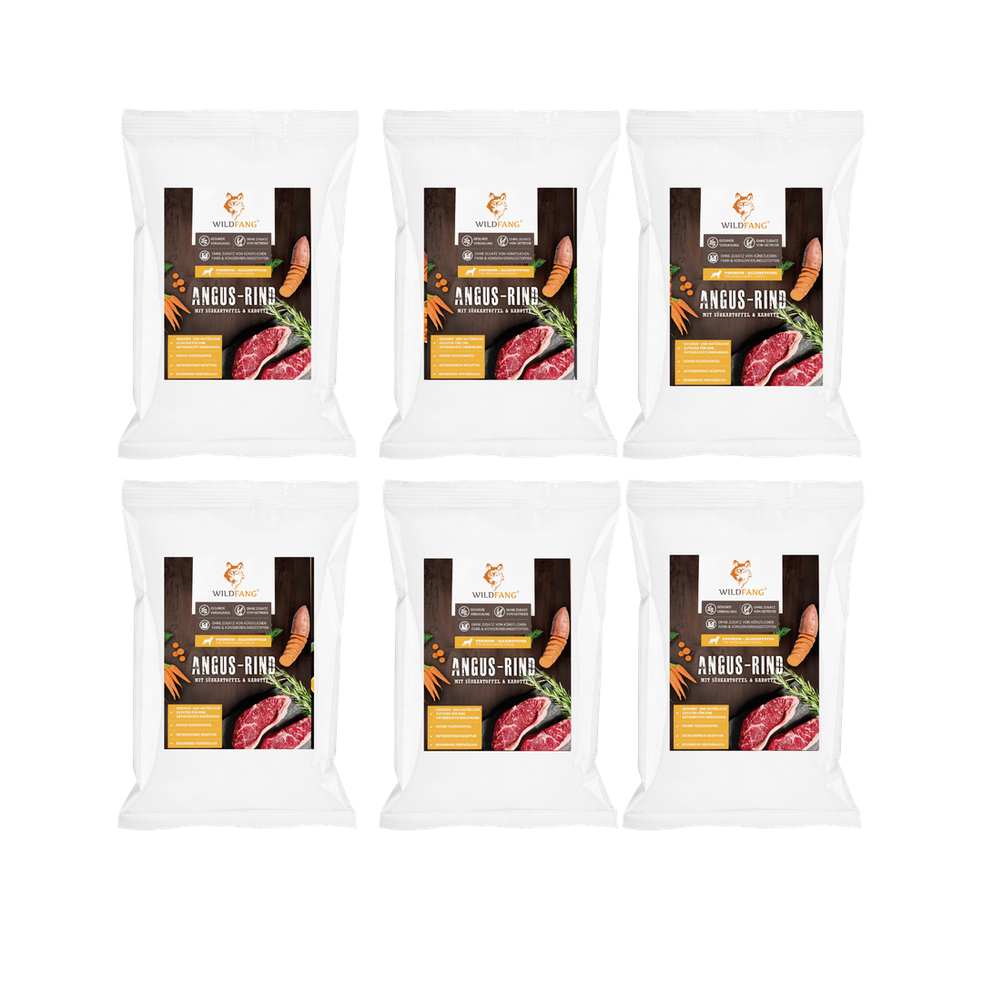 Genussbox Adult - Trockenfutter-Hundefutter-Wildfang-6 x Angus Rind-