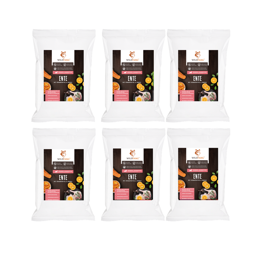 Genussbox Adult - Trockenfutter-Hundefutter-Wildfang-6 x Ente-