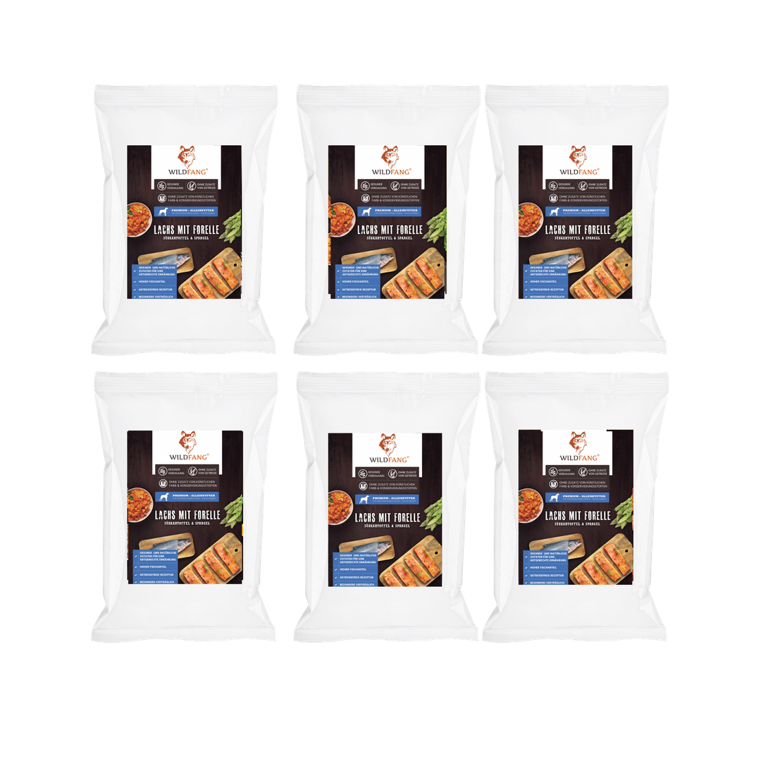 Genussbox Adult - Trockenfutter-Hundefutter-Wildfang-6 x Lachs mit Forelle-